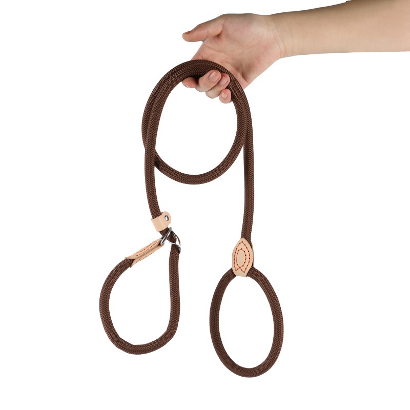 Ergonomic Pet Control Tool: Versatile Slip-Lead Harness System Made from Strong Materials