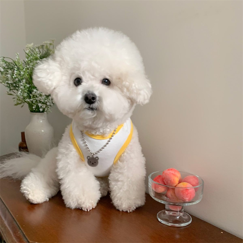 Dog Sleeveless T-Shirt Cute Fruit Puppy Vest Pet Summer Embroidered Clothes Teddy Schnauzer Breathable Pullover Fashion Clothes