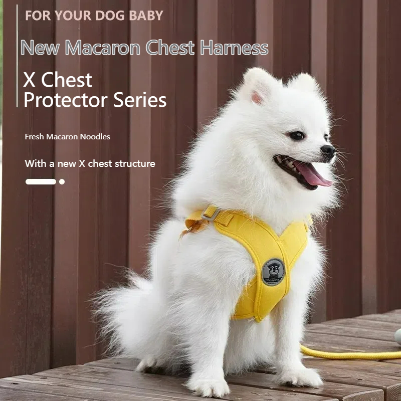 X-shaped Breathable Macaron Pet Harness & Leash Set for Small Dogs & Cats