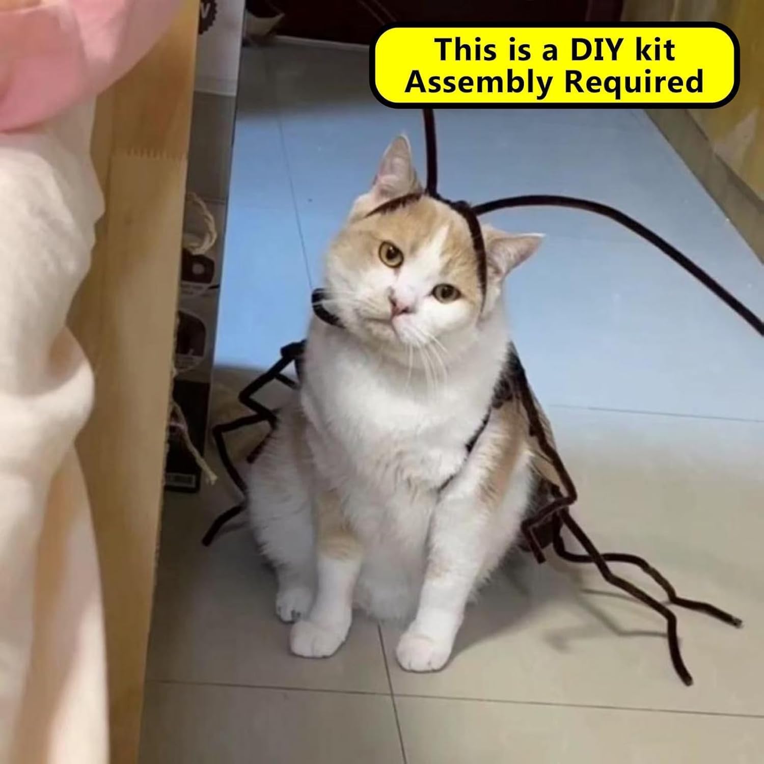 Cat Cockroach Clothing DIY Kit, Funny Cat Costume with Roach Wings and Antenna, Cockroach Kitten Pet Cape Craft Set, Cosplay Halloween Party Decoratio