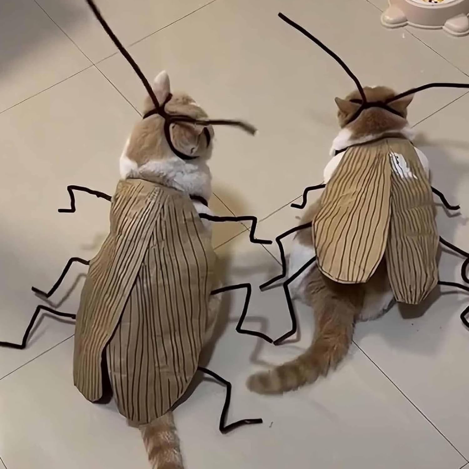 Cat Cockroach Clothing DIY Kit, Funny Cat Costume with Roach Wings and Antenna, Cockroach Kitten Pet Cape Craft Set, Cosplay Halloween Party Decoratio