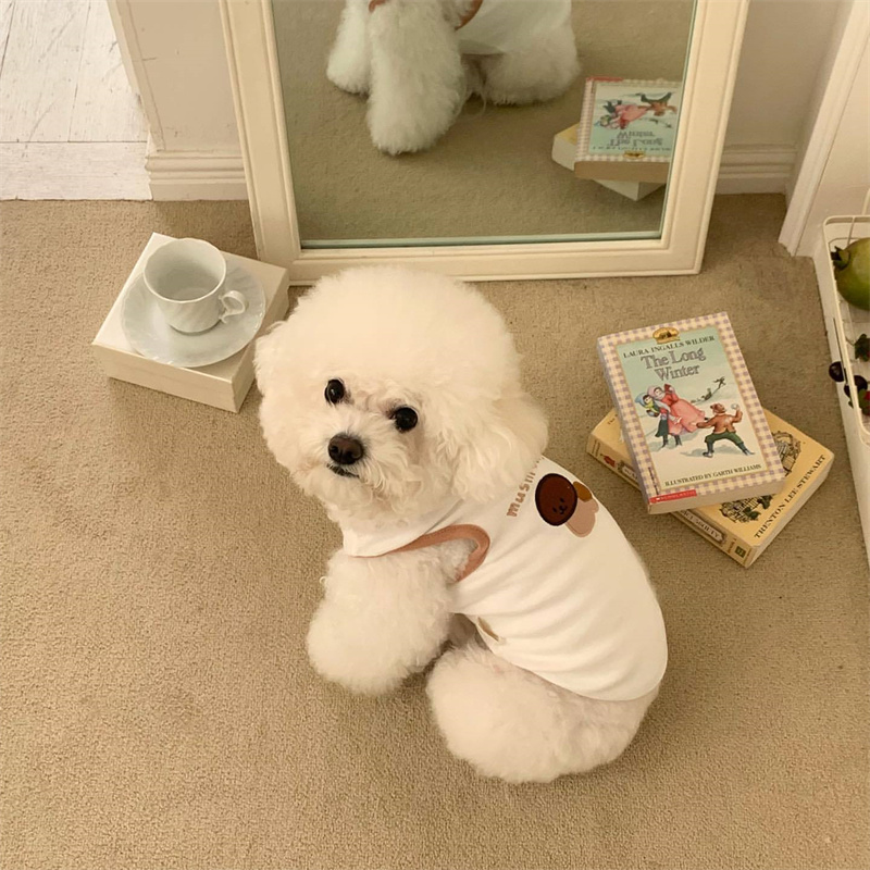 Dog Sleeveless T-Shirt Cute Fruit Puppy Vest Pet Summer Embroidered Clothes Teddy Schnauzer Breathable Pullover Fashion Clothes