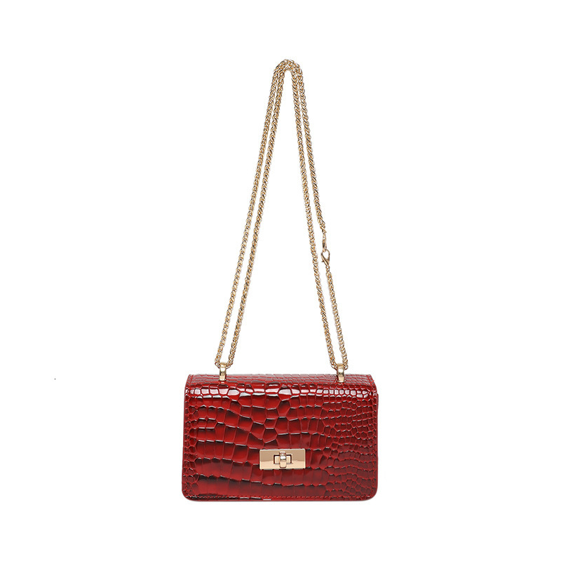 designer 2025 New Fashion Textured Niche Spring Stylish Casual Personality Chain Simple Single Shoulder Crossbody Small Square Bag