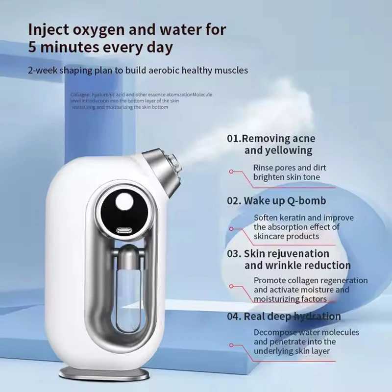 Nano Oxygen Injection Facial Moisturizing Steamer Machine Handheld Spray Gun Beauty Spray Mist Mini OxygenXJ250607