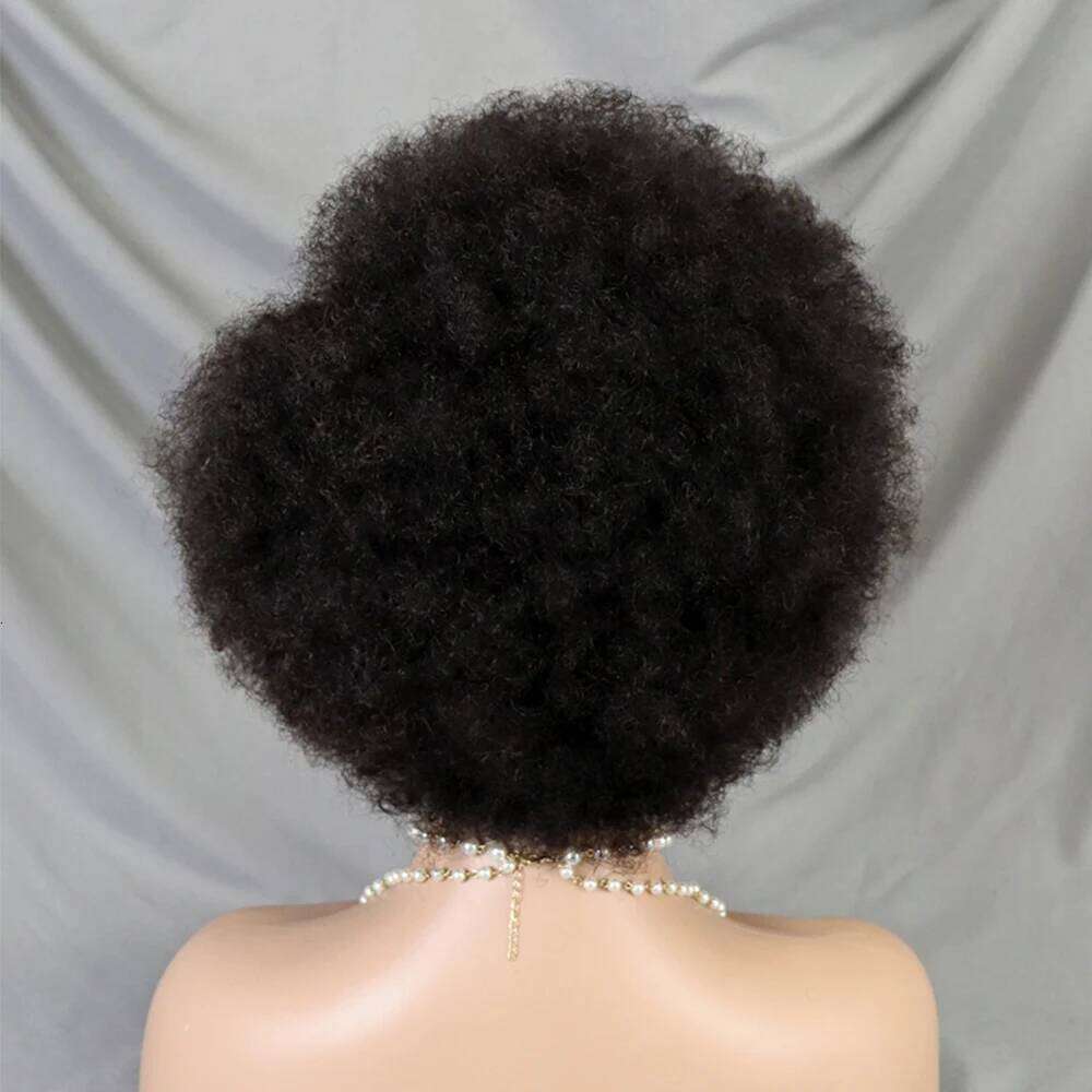 Front Short Afro Kinky Human Hair 250% Density 13x4 HD Lace Frontal Fluffy Curly Bob Wigs for Black Women