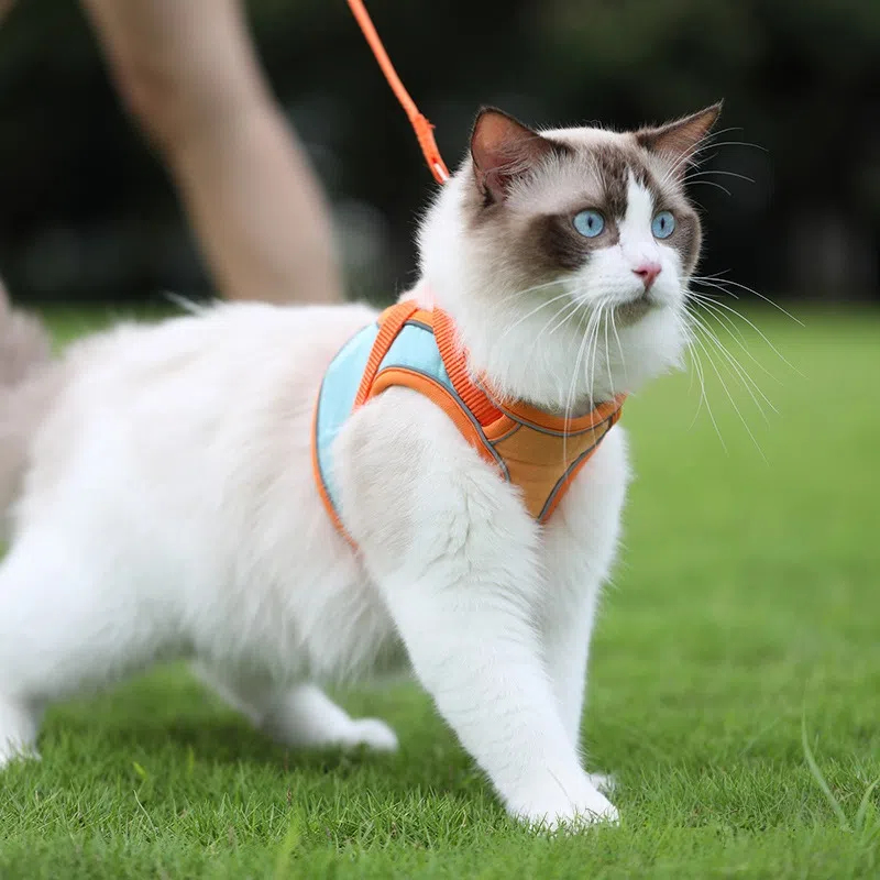 Breathable Reflective Cat Harness Vest with Leash for Walking Escape Proof Puppy Kitten Outdoor Pet Supplies