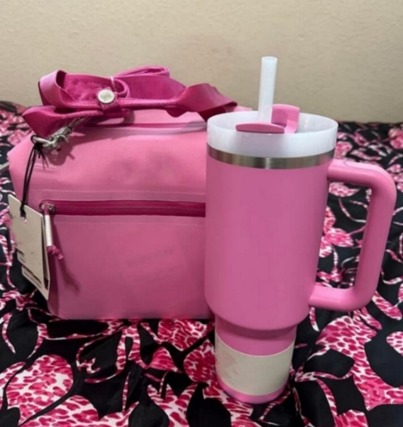 US Warehouse Lunch Bag Box All Day Julienne Mini Soft Cooler 10-Can Recycled Polyester Cooler 12-Hour Cooling Travel Cooler Bags Light Pink