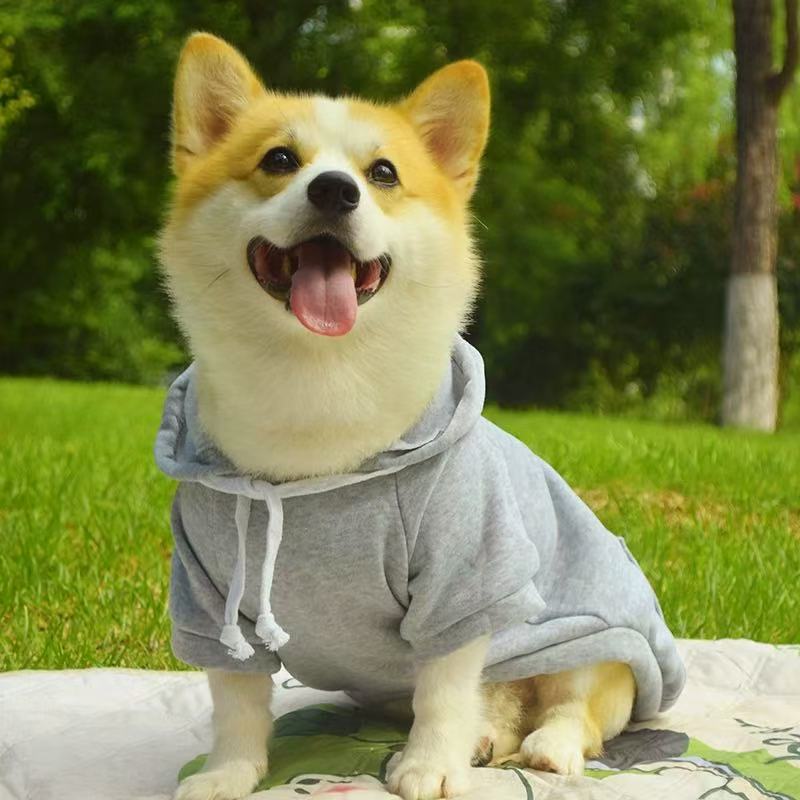 T00387 Shiba Inu Corgi Teddy Dog Clothes Autumn and Winter Plus Velvet Pet Hooded Sweatshirt Solid Color Warm Anti-hair Loss Anti-dirty