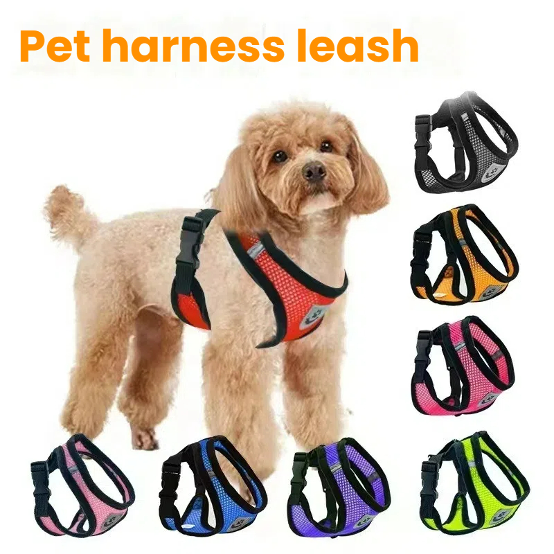 Breathable Soft Mesh Dog Harness and Leash Set for Small Dogs and Cats