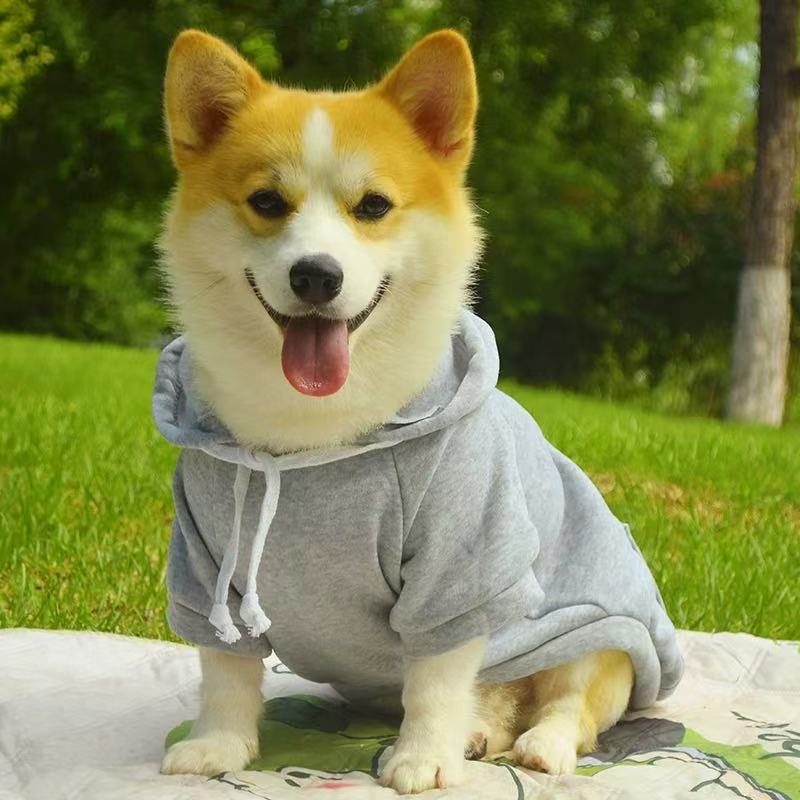 T00387 Shiba Inu Corgi Teddy Dog Clothes Autumn and Winter Plus Velvet Pet Hooded Sweatshirt Solid Color Warm Anti-hair Loss Anti-dirty