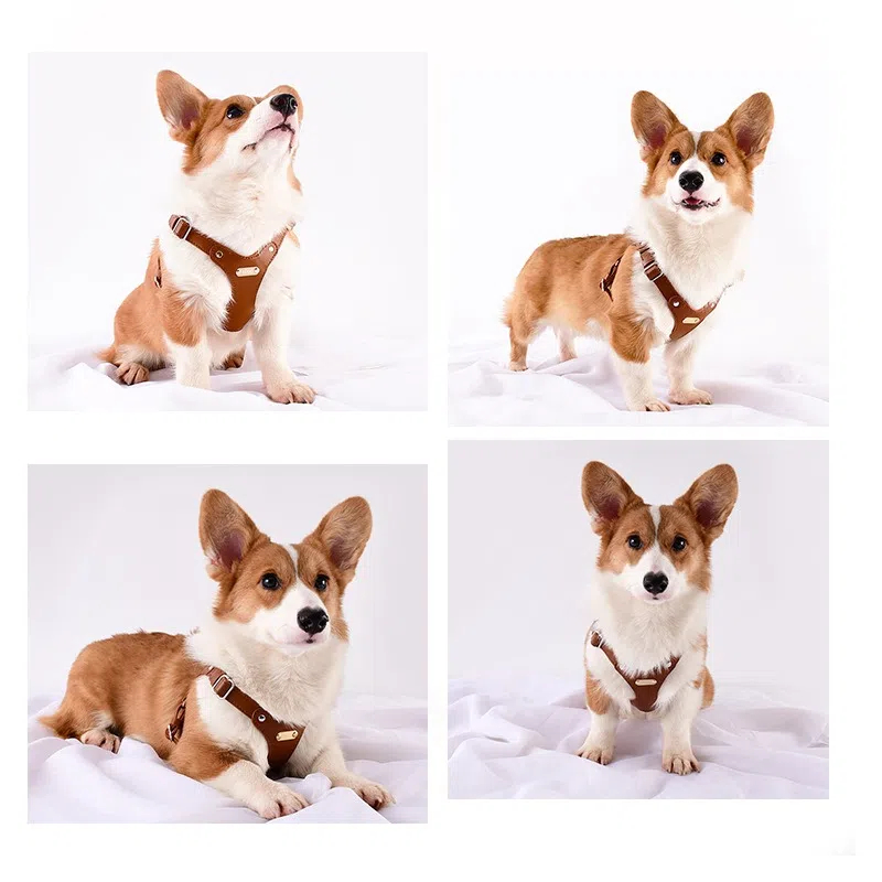 Adjustable Soft Leather Pet Harness and Leash Set for Small to Medium Dogs, Waterproof & Anti-shedding Design