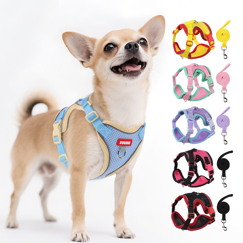 Adjustable Breathable Mesh Pet Harness and Leash Set for Cats & Small Dogs with Reflective Strips