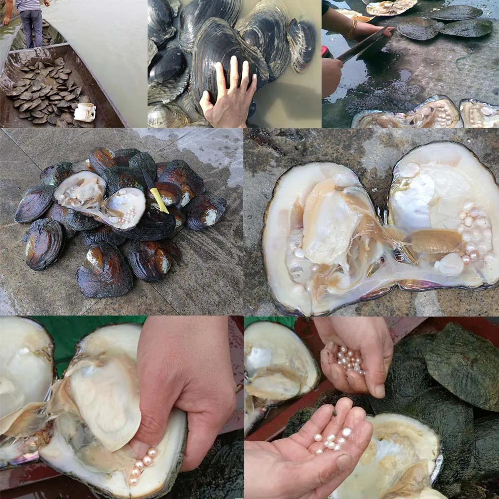 Natural Freshwater Pearl Beads High Quality Irregular Shape Punch Loose Beads for Jewelry Making DIY Necklace Bracelet 250604