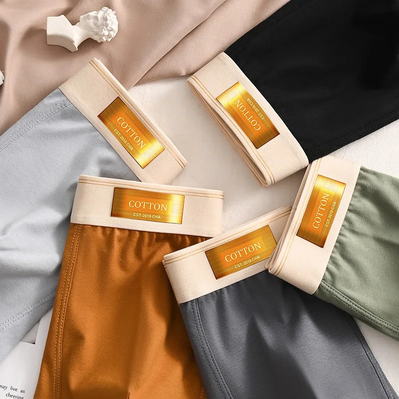 3pcs Men Underwear Cotton BoxerShorts Hombre Panties Man Breathable Underpants Sexy Sports Comfort Male Boxers Large Size L-6XL 250605