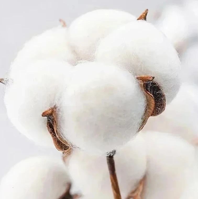 Talking Heads T-Shirt Remain in Light 80s Wave Art Rock Band Music Print Retro Washed Cotton Women Summer Short Sleeves Shirt 250529