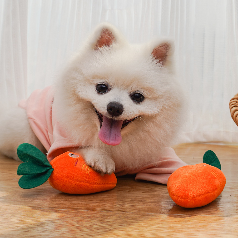 Dog bones, chicken legs, fruits, carrots, pet dog and cat plush toys with sound, bite-resistant, cat toy supplies wholesale
