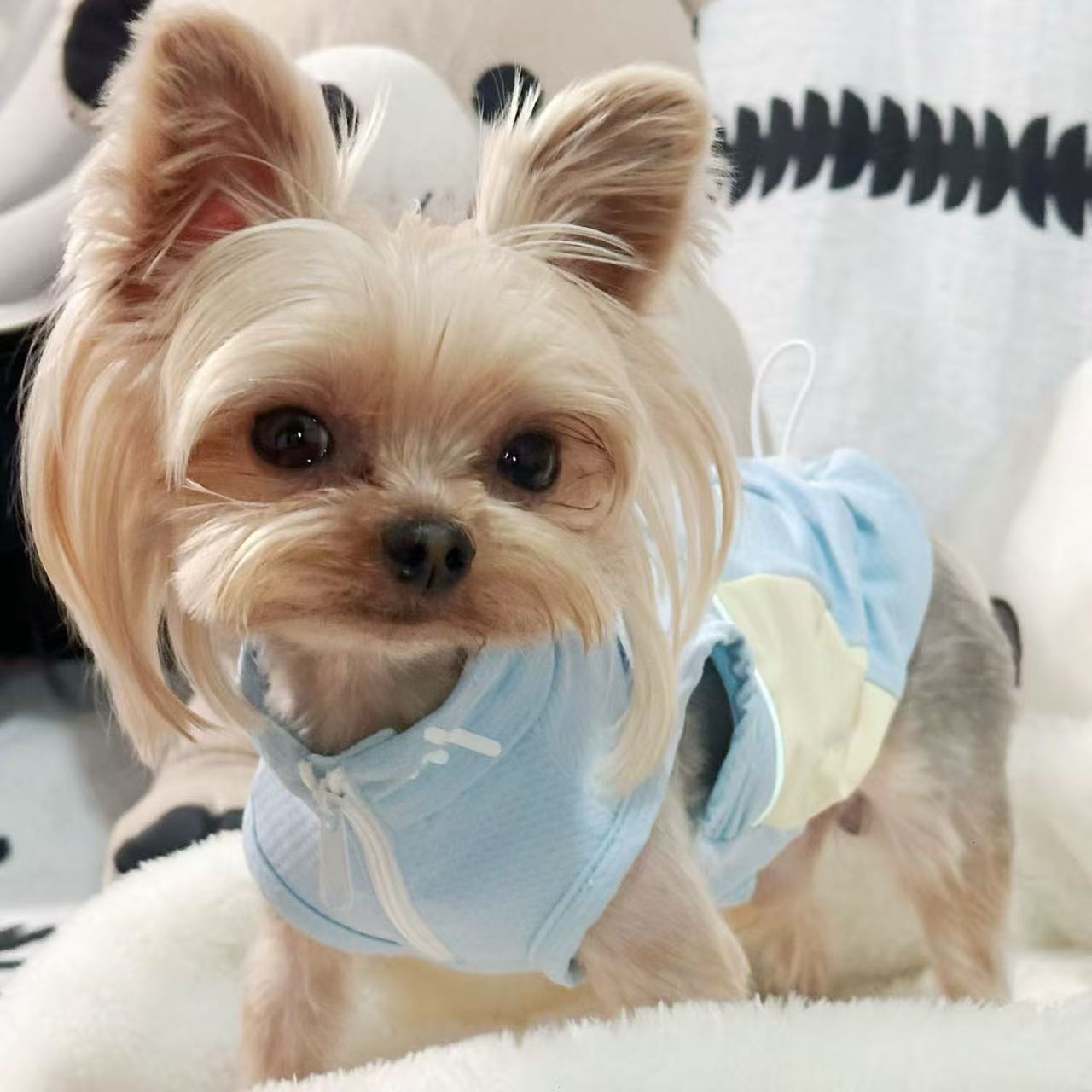 T00388 Summer contrast color puppy clothes outdoor sun protection clothes cat cool clothes cooling kittens and puppies clothes can be pulled