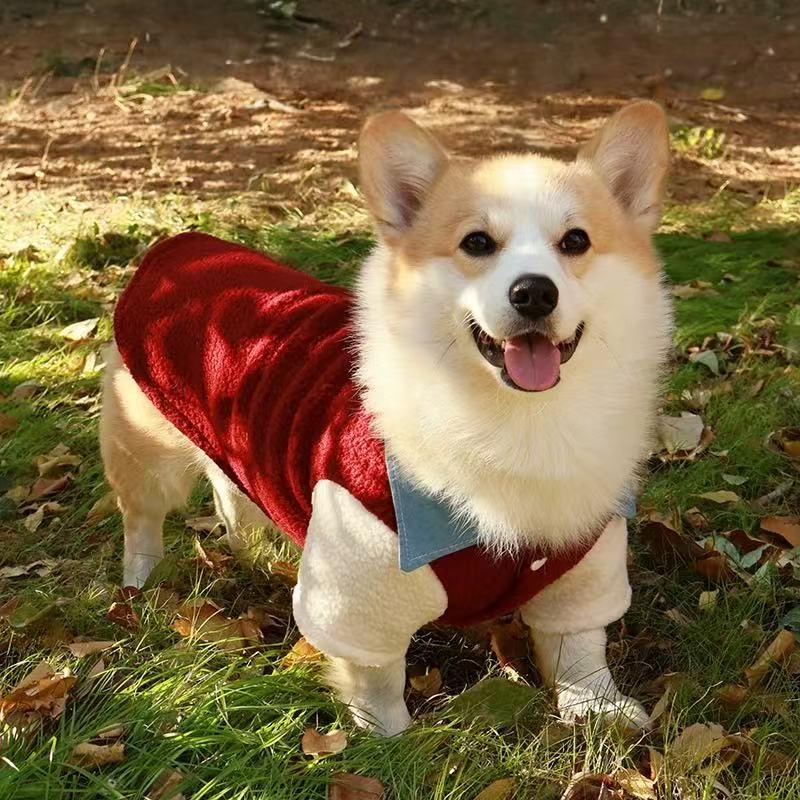 T00408 Solid color bow embroidered T-shirt for cats, dogs, Bichon Frise and Yorkshire Terrier pet clothes