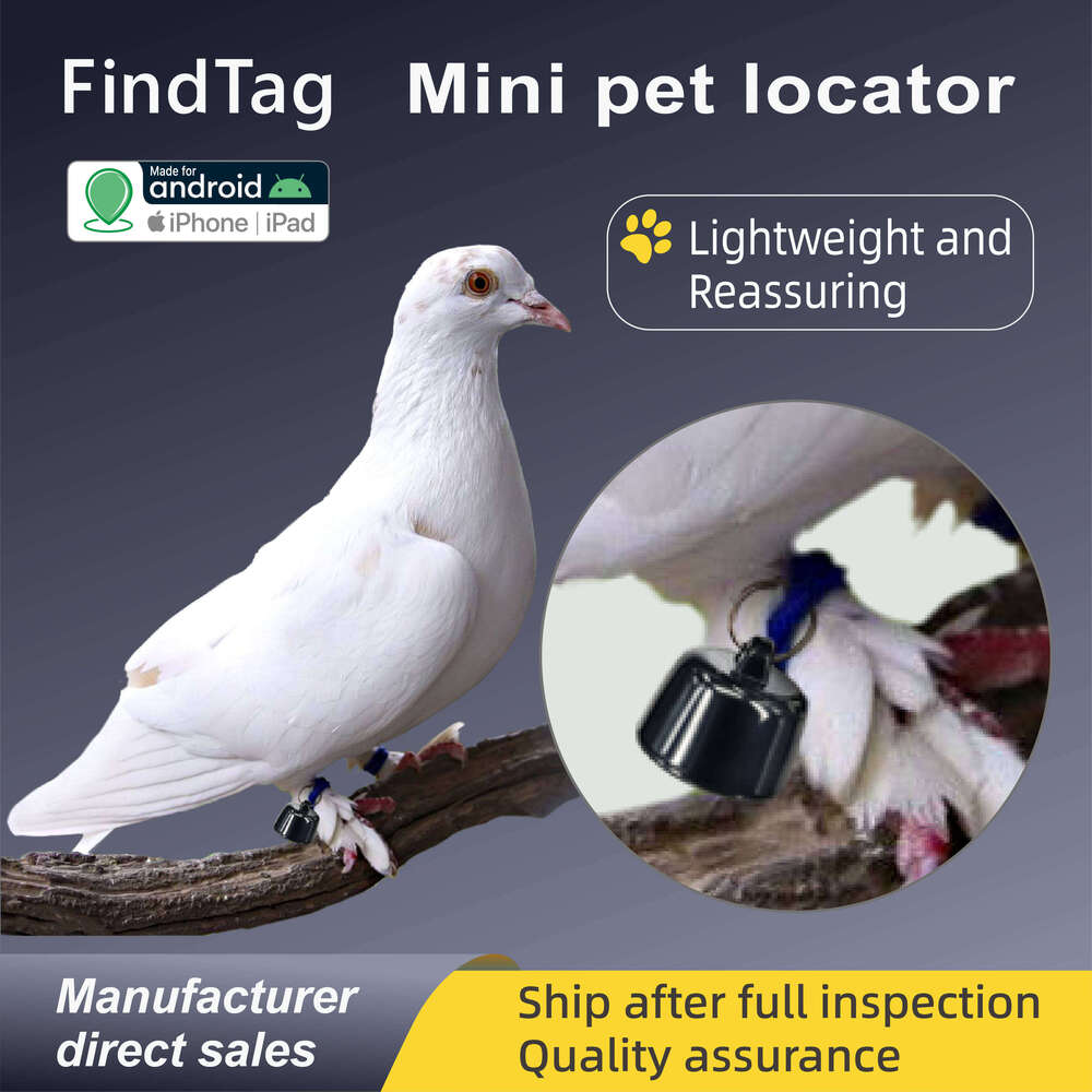 Super Mini Pet Tracker System / Pound Positioning IP67 Portable Device, Convenient IOS Android Anti-Lost Shared Computer View