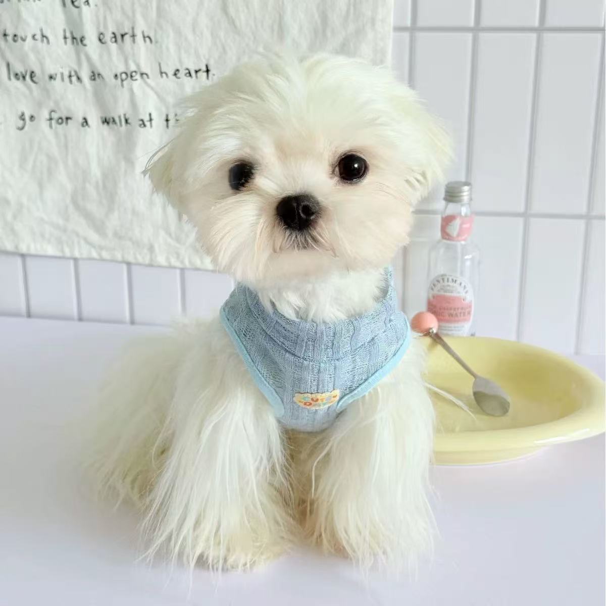 T00390 Spring and summer thin pet dog clothes dopamine suspender vest cool teddy bear panda pet clothes