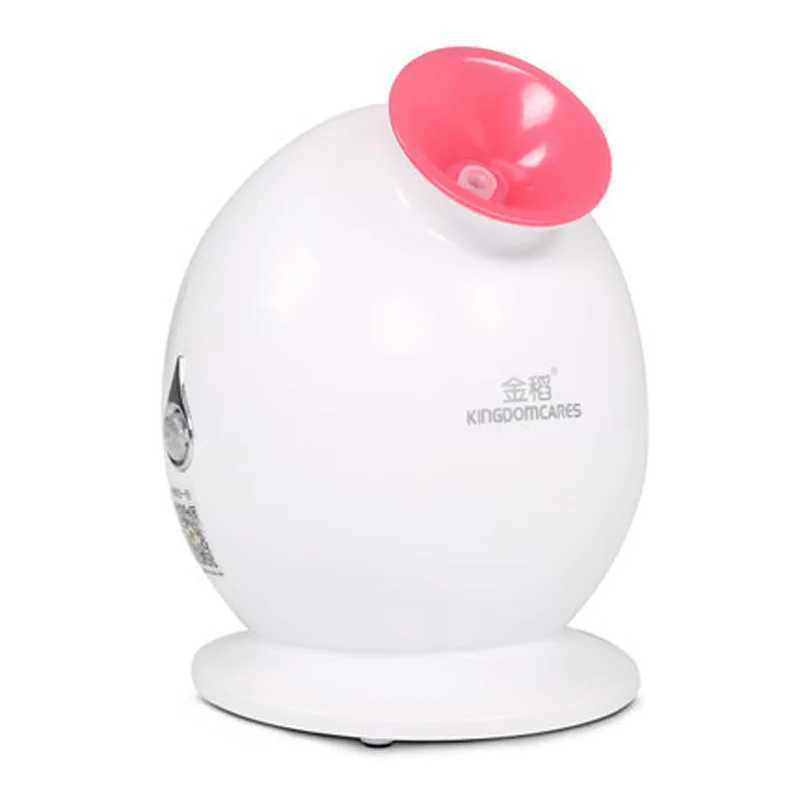 Beauty Salon Hot Steam Spray Nebulizer Face Sprayer Facial Thermal Steamer Humidifier Vaporizer Skin Care Machine Mist Fogger XJ250607
