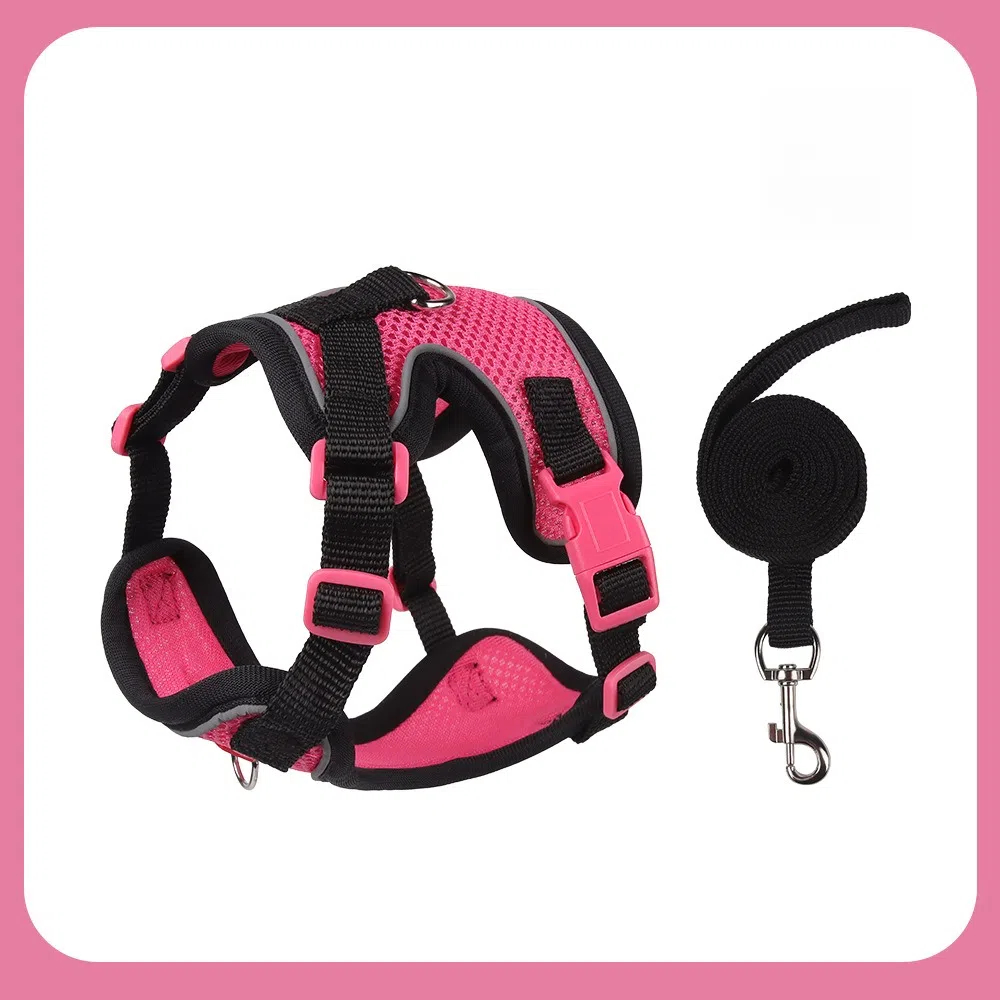 Adjustable Breathable Mesh Pet Harness and Leash Set for Cats & Small Dogs with Reflective Strips