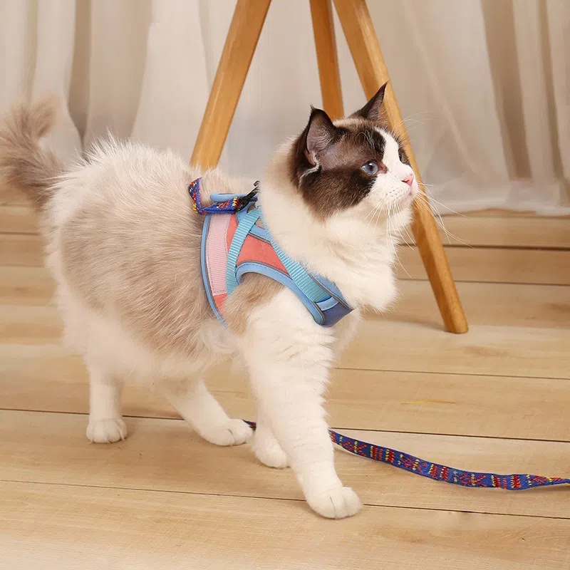 Breathable Reflective Cat Harness Vest with Leash for Walking Escape Proof Puppy Kitten Outdoor Pet Supplies