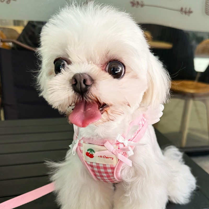Cute Gingham Pet Harness Leash Set with Angel Wings for Small Dogs and Cats