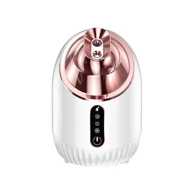 New Face Steamer Cold Hot Warm Double Spray Household Face Cleaning Beauty Salon Spray Hot Sprayer Makeup Face Steamer XJ250607