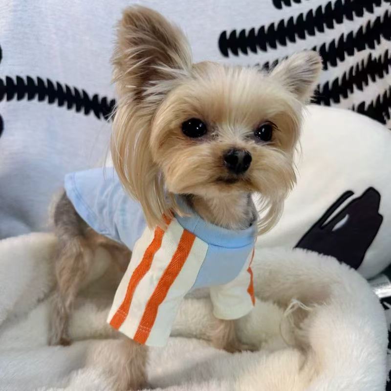 T00386 Spring and summer dog and cat clothes pet Bichon Teddy small dog thin puppy and kitten clothes