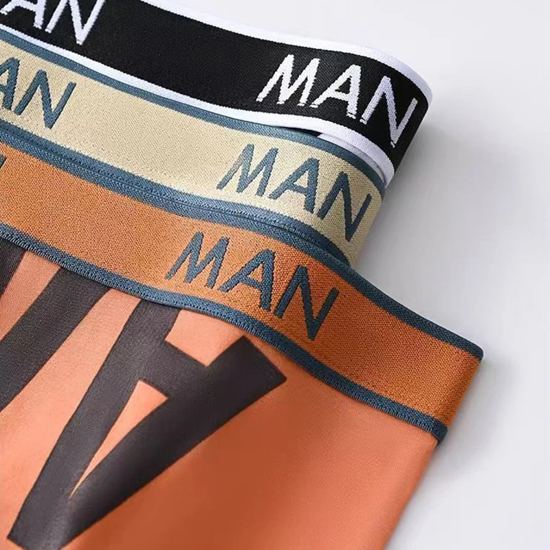 4pcs Boxer Shorts Mens Ice Silk Underwear Male Underpants Breathable Sexy Thin Panties U Convex Lingerie Wholesale Lots L-6XL 250605