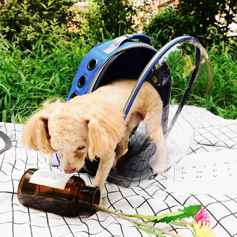 Airline-Approved Clear Cat Backpack Carrier - 360 Panoramic View Lightweight Breathable for Travel Hiking Pets T250605