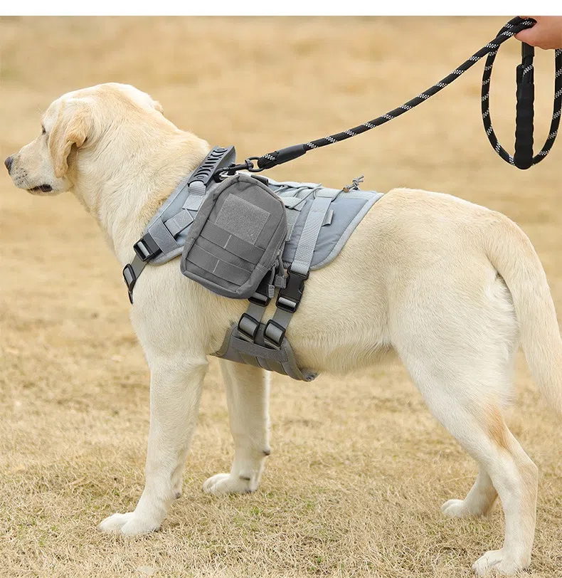 Ergonomic Design No Tug Collar Compatible With Various Breed Sizes Including Labs