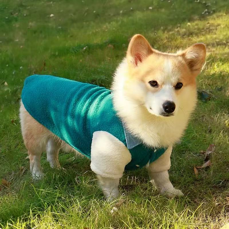T00408 Solid color bow embroidered T-shirt for cats, dogs, Bichon Frise and Yorkshire Terrier pet clothes
