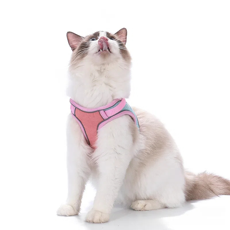 Breathable Reflective Cat Harness Vest with Leash for Walking Escape Proof Puppy Kitten Outdoor Pet Supplies