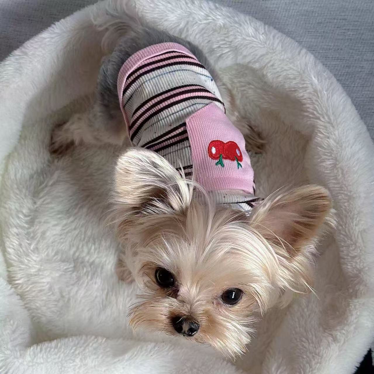 T00389 Spring and Summer Dog and Cat Clothes Pink Cherry Striped Thin Vest Yorkshire Teddy Puppy Kitten Clothes