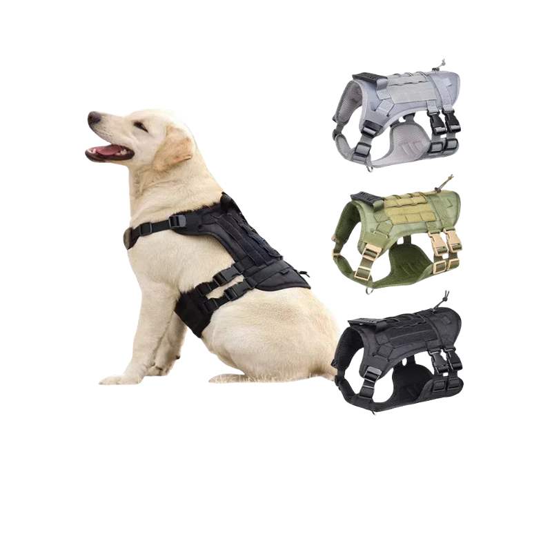 Ergonomic Design No Tug Collar Compatible With Various Breed Sizes Including Labs