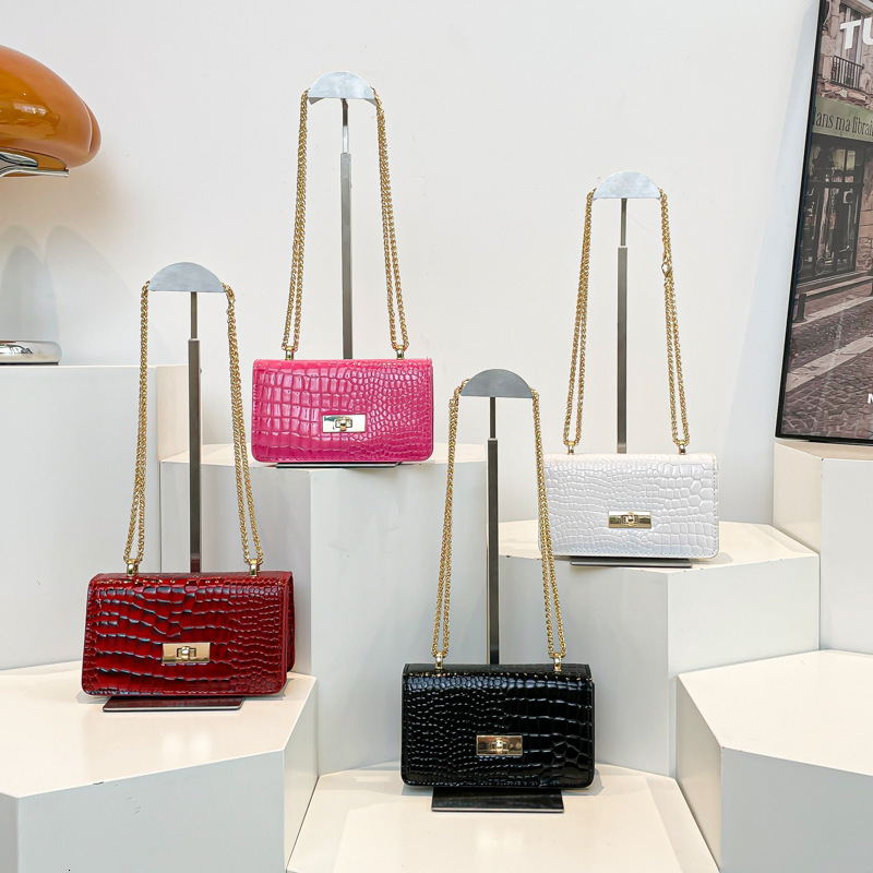 designer 2025 New Fashion Textured Niche Spring Stylish Casual Personality Chain Simple Single Shoulder Crossbody Small Square Bag