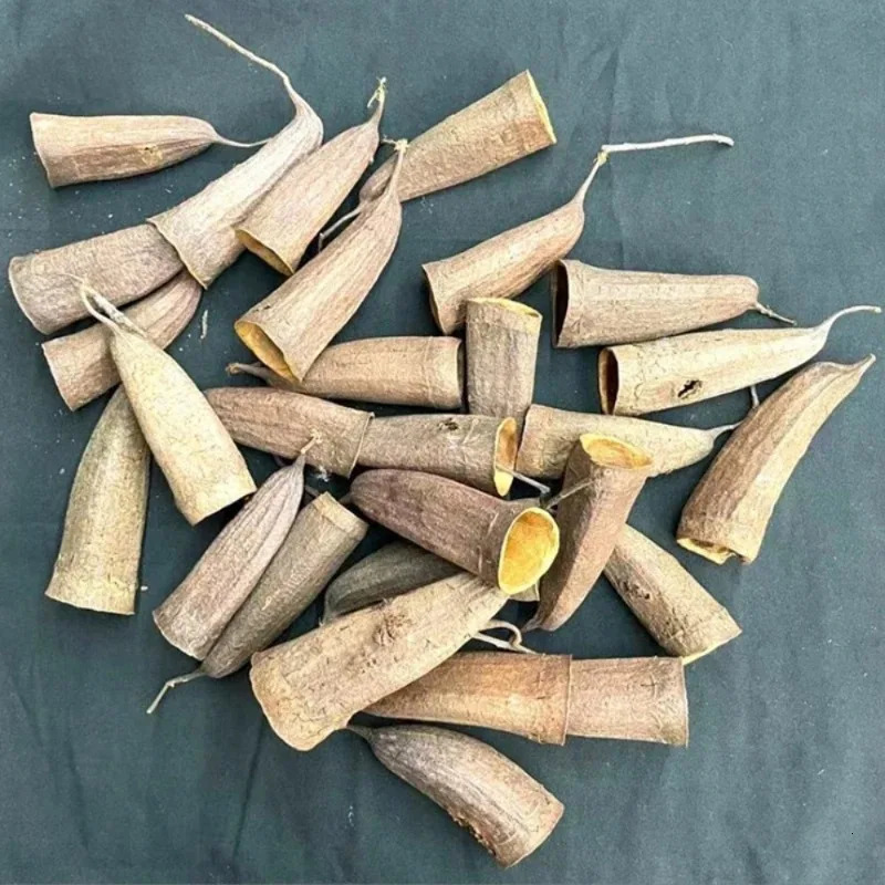 3Pcs/Pack Aquarium Decor Cichlid Cave Decoration Fish Tank Breeding Housing Shelter Ornament for Fish Shrimp 250604