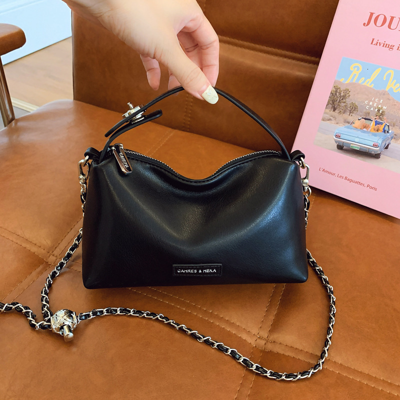 designer Niche Chain Underarm Bag for Women 2025 Summer New High-end Fashion Single Shoulder Bag Versatile Crossbody Pillow Bag