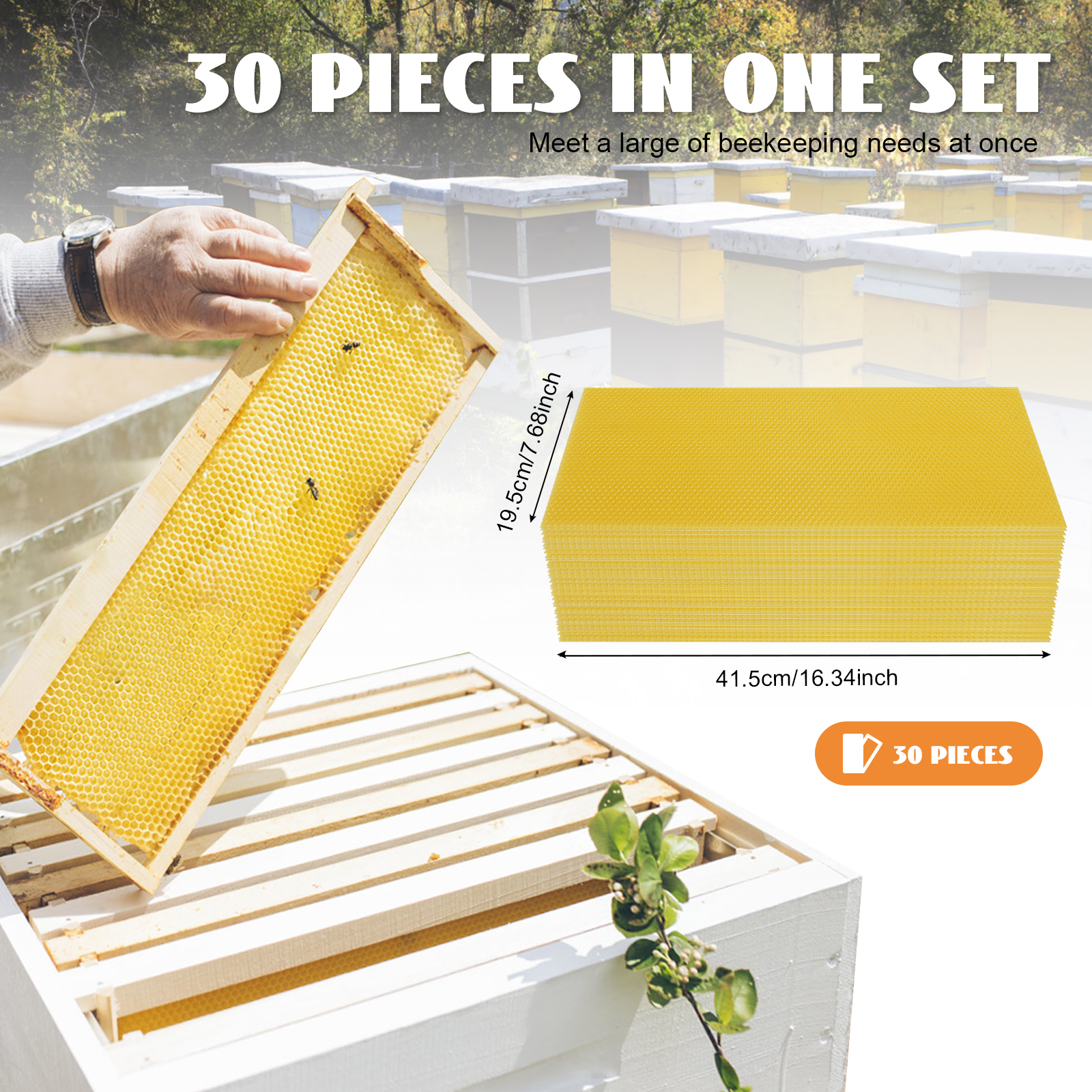 30-Pack Honeycomb Bee Wax Foundations, 195x415mm Standard Hive Frames, Premium Beekeeping Wax Sheets for Honey Production, US Stock (Beekeeping Essent
