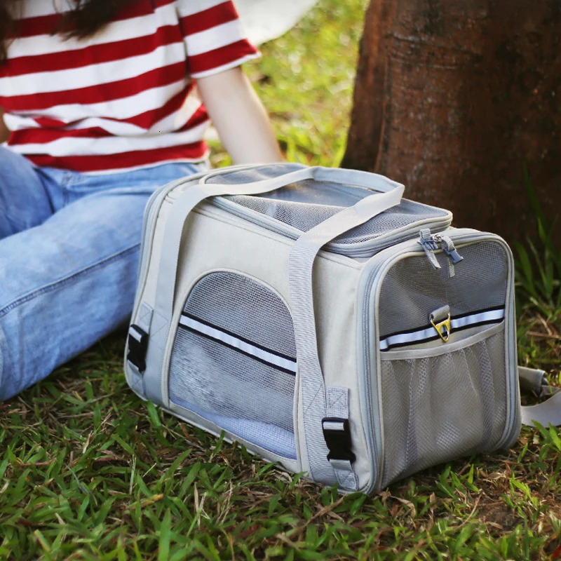 Portable Dog Cat Bag Pet Puppy Travel Bags Breathable Mesh Foldable Cats Dog Handbag Travel Pet Bag Transport Bag 250603
