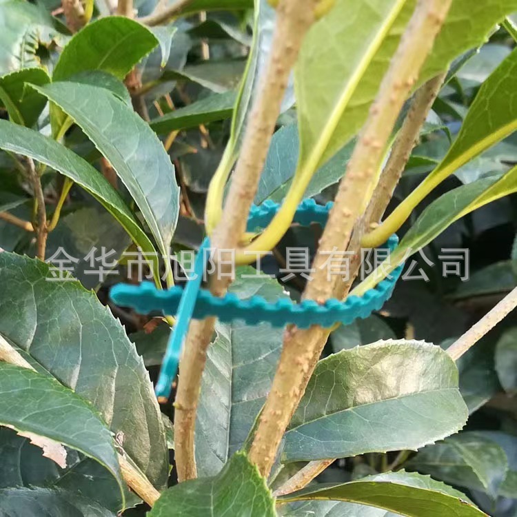 Fishbone PP Plastic Binding Vine Climbing Seedling Plant Wire Fixing Green Tie