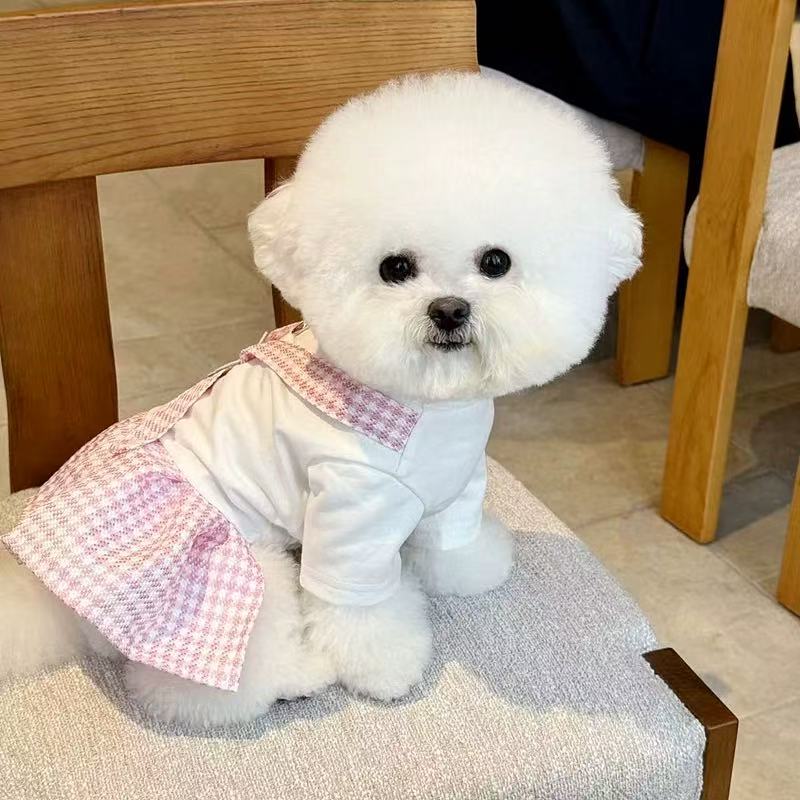 T00393 Summer Thin Dog Clothes Teddy Pomeranian Yorkshire Terrier Small Dog Maltese Bichon Frise Pet Princess Skirt
