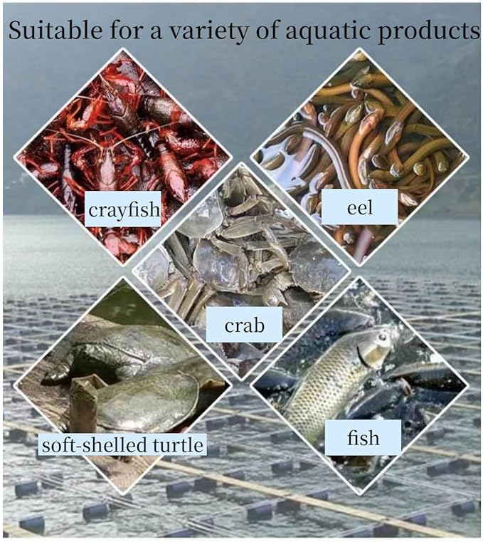 Strong Anti Escape Aquaculture Net Fishing Cage Seafood Drying for Fish Crabs Shrimp(without top )