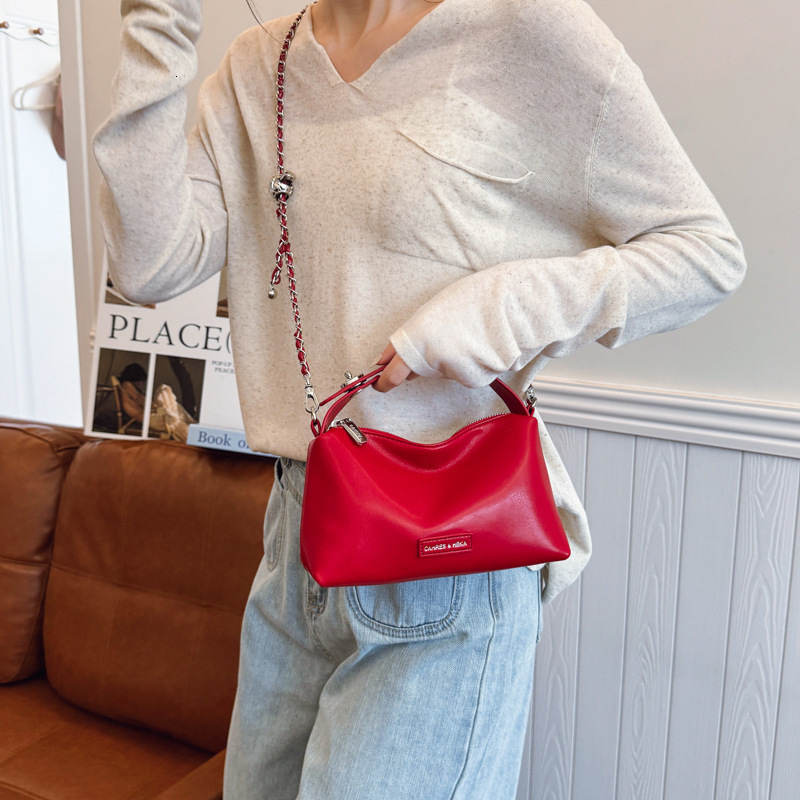 designer Niche Chain Underarm Bag for Women 2025 Summer New High-end Fashion Single Shoulder Bag Versatile Crossbody Pillow Bag