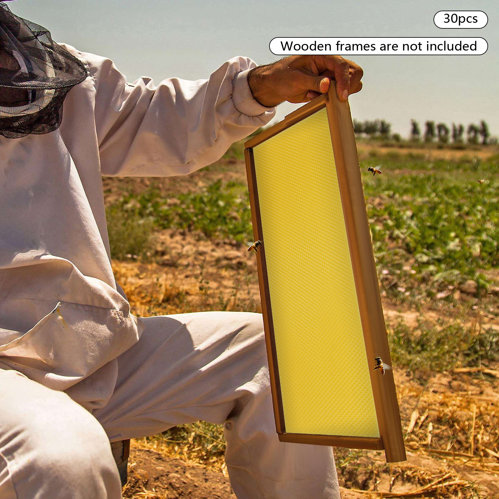 30-Pack Honeycomb Bee Wax Foundations, 195x415mm Standard Hive Frames, Premium Beekeeping Wax Sheets for Honey Production, US Stock (Beekeeping Essent