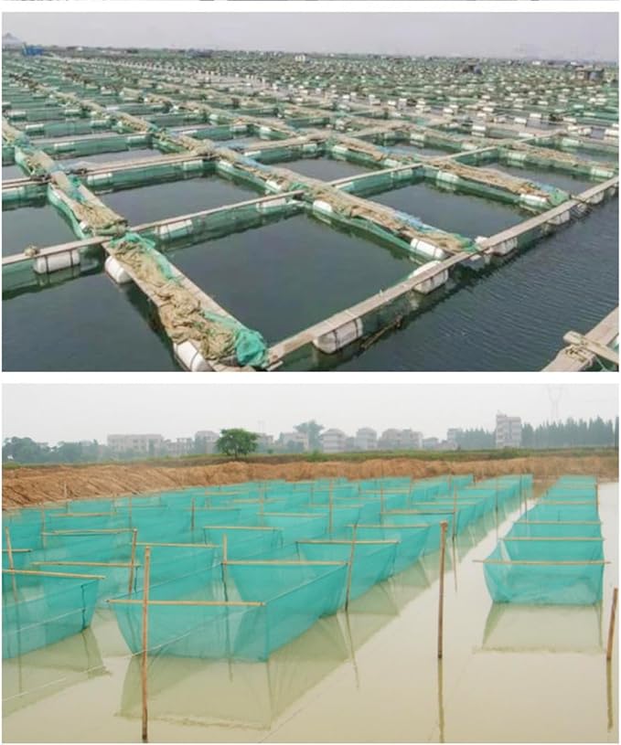 Strong Anti Escape Aquaculture Net Fishing Cage Seafood Drying for Fish Crabs Shrimp(without top )