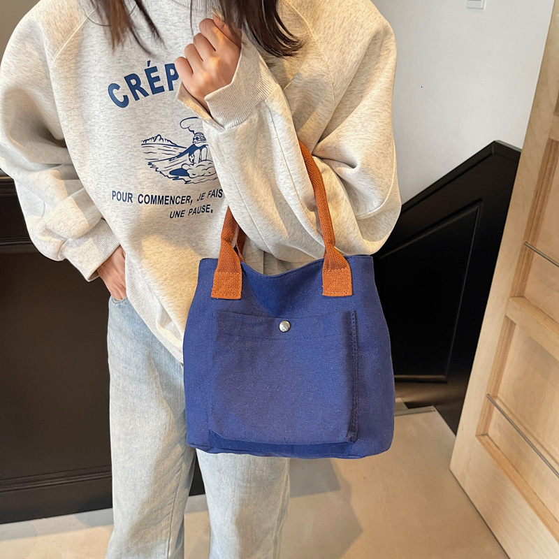 designer Korean and Japanese Style Casual Niche Tote Bag for Women, Handheld Fabric Bag, New Fashionable Winter Small Bag for Women 2025