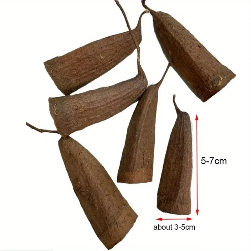 3Pcs/Pack Aquarium Decor Cichlid Cave Decoration Fish Tank Breeding Housing Shelter Ornament for Fish Shrimp 250604